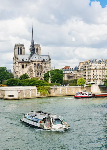 Floden Seine på katedralen Notre Dame — Stockfoto