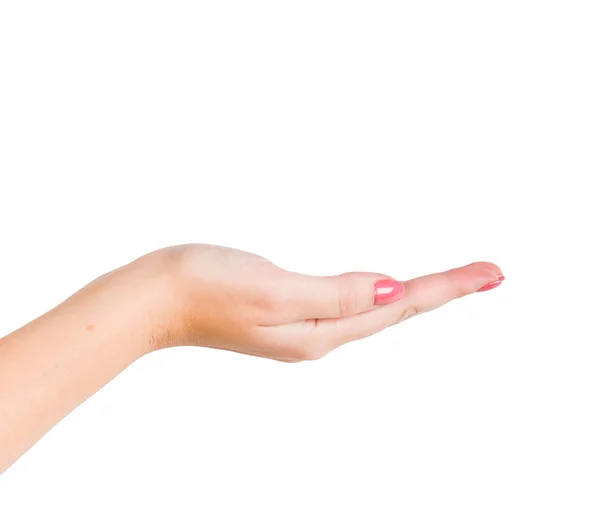 Empty female hand — Stock Photo, Image
