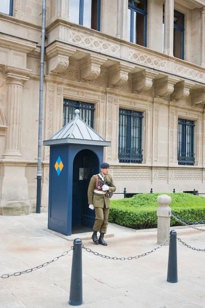 Waken voor Grand Ducal paleis — Stockfoto