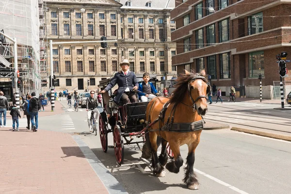 Paard getrokken vervoer — Stockfoto