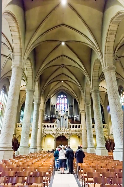 Interior Catedral de Notre-Dame Imagem De Stock