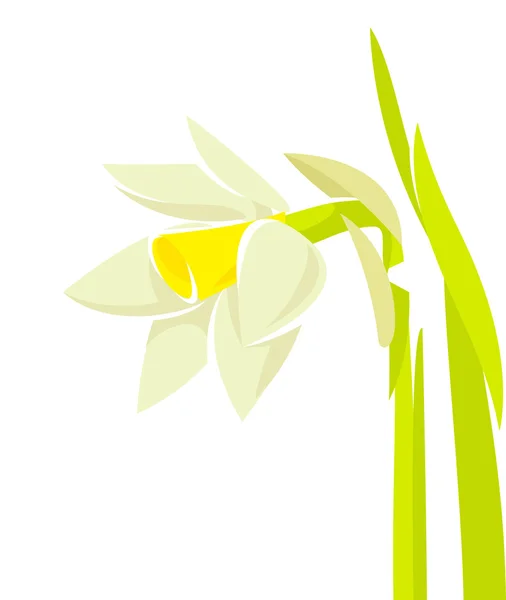 Narciso flor estilizada — Vector de stock