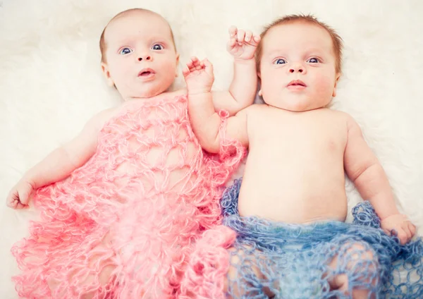 Noworodka słodkie bliźniaki — Zdjęcie stockowe