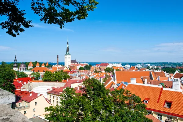 Лето Таллинн, Эстония — стоковое фото