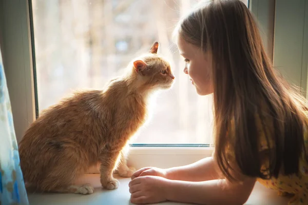 Happy Twins Redhead Cat Window Cozy Home — Stock Photo, Image