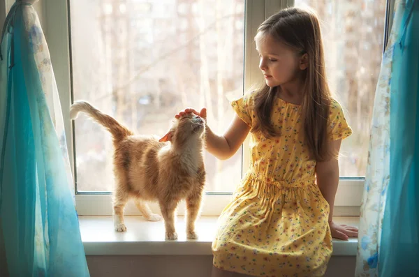 Gemelos Felices Con Gato Pelirrojo Ventana Casa Acogedora Imágenes De Stock Sin Royalties Gratis