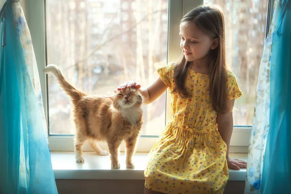 Happy Twins Redhead Cat Window Cozy Home Rechtenvrije Stockafbeeldingen