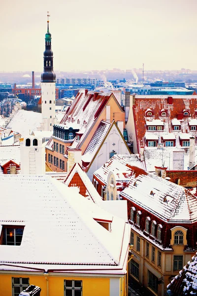 Inverno Tallinn — Foto Stock