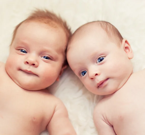 신생아 쌍둥이 — 스톡 사진