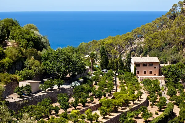 Terrases in Banyalbufar in Mallorca — Stockfoto
