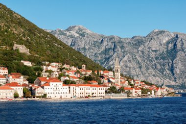 Perast, defne, kotor, Karadağ