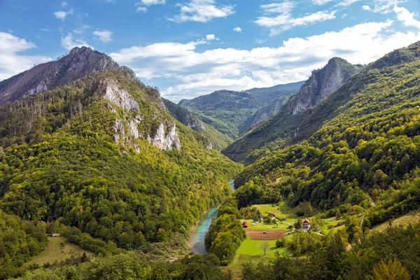 Kanion rzeki Tara, Czarnogóra — Zdjęcie stockowe