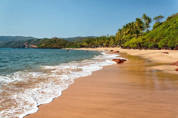 Cola beach, Zuid-goa, india — Stockfoto