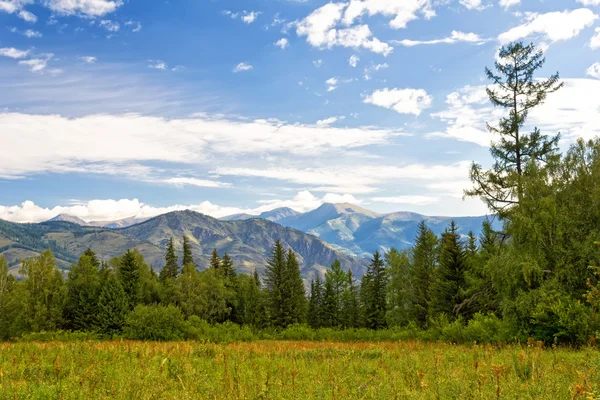 Hermosa vista en las montañas de Altai, Rusia —  Fotos de Stock