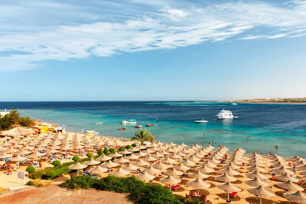 Parasols op het strand, Makadi, Egypte — Stockfoto