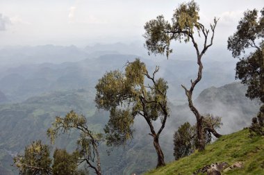 Simion dağlarında seyahat