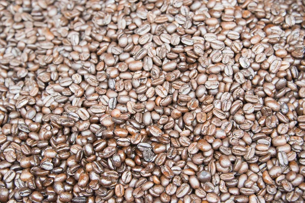 Coffee beans background — Stock Photo, Image