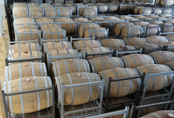 Wine aging in barrels — Stock Photo, Image
