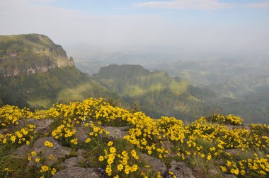 Simien Dağları Parkı