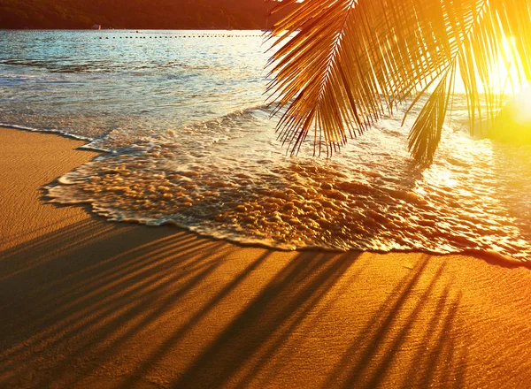 Bellissimo tramonto sulla spiaggia delle Seychelles — Foto Stock