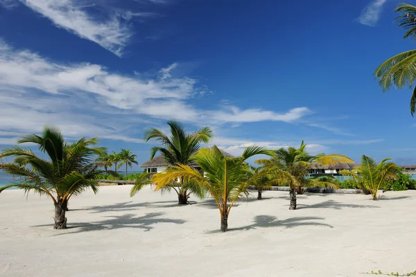 Schöner Strand auf den Malediven — Stockfoto