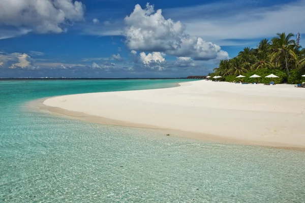 Island beach Maldivler — Stok fotoğraf