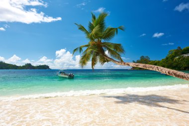 güzel anse intendance beach