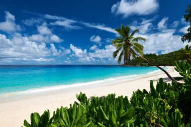 güzel anse intendance beach