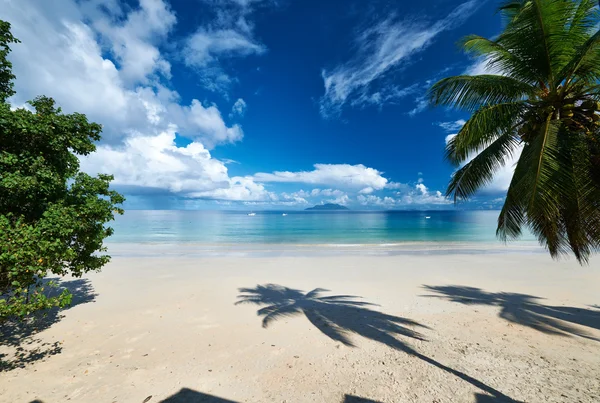 Vacker strand på Seychellerna — Stockfoto