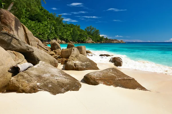 Beautiful Anse Intendance beach — Stock Photo, Image