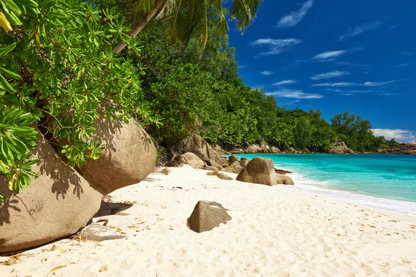 Schöner Strand auf den Seychellen — Stockfoto