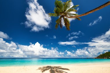 güzel anse intendance beach