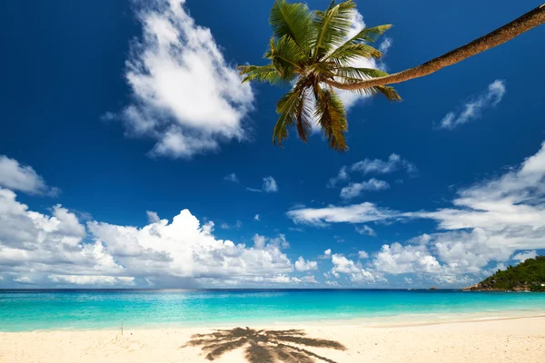 Mooie anse best beach — Stockfoto