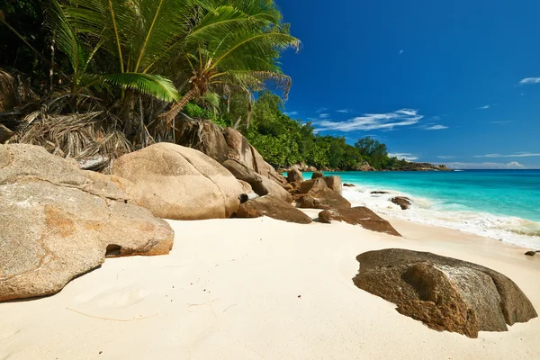 Beautiful Anse Intendance beach — Stock Photo, Image