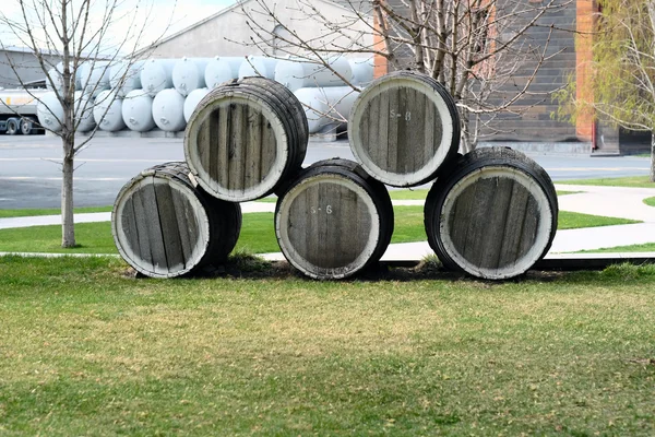 Barricas de vino de madera — Foto de Stock