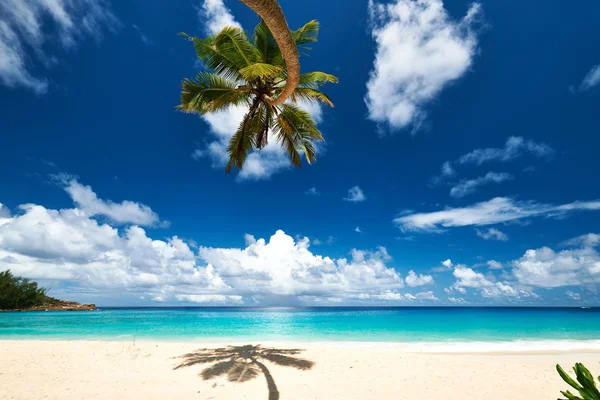 Schöner anse intendance strand auf den seychellen — Stockfoto