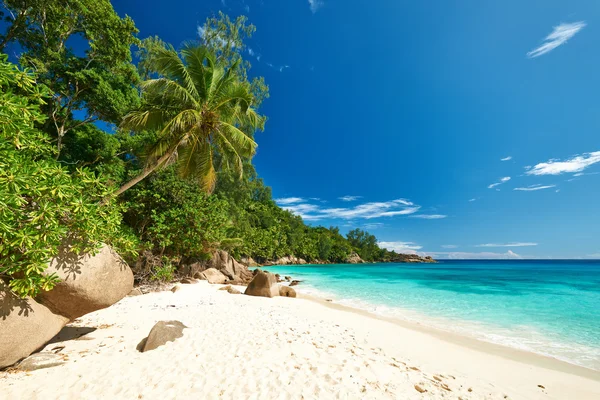 Praia bonita em Seychelles — Fotografia de Stock