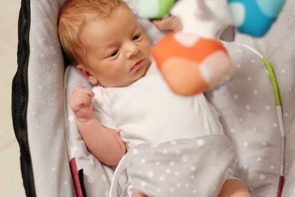 Twee weken oud pasgeboren baby — Stockfoto