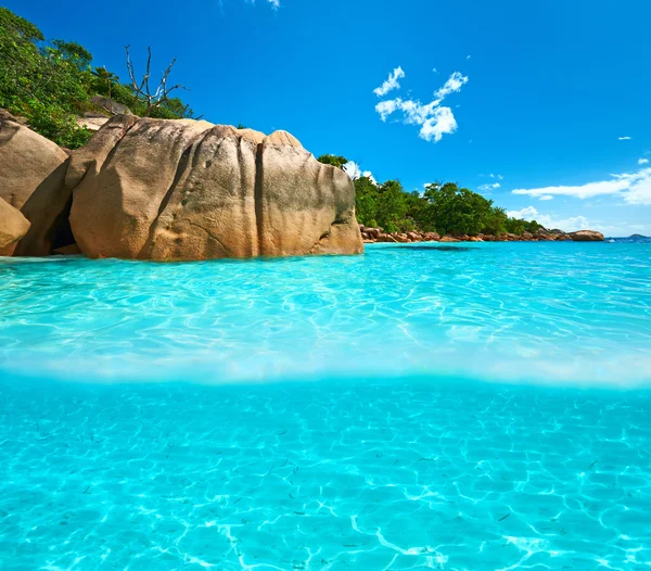 Pláž s modrou vodou — Stock fotografie