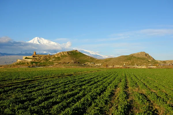 Eski manastır önünde dağ — Stok fotoğraf