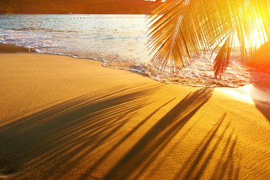 Seyşel Adaları plajda güzel gün batımı 