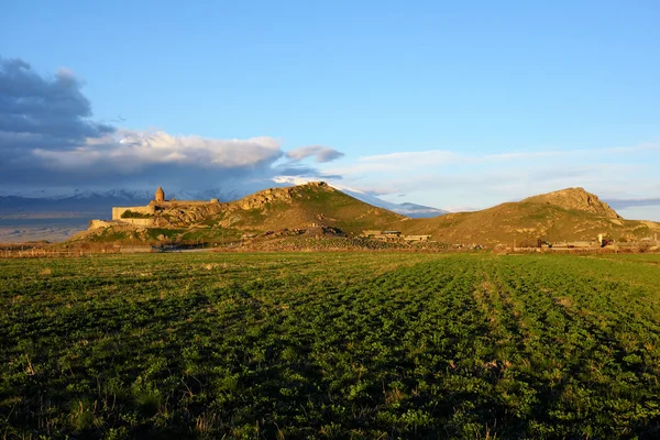 Monastero Khor Virap in Armenia — Foto Stock