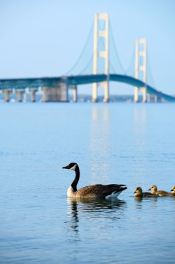 Mackinac asma köprü