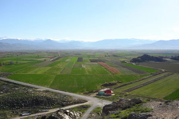 Ermenistan'da ekili alan — Stok fotoğraf