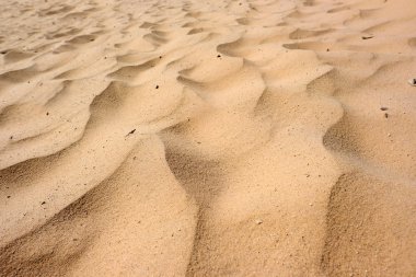 Dunes, Sandy arka plan