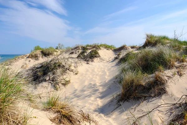 Little Sable Point Dunes — Stock Photo, Image