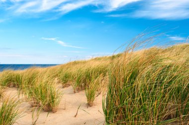 cape cod, kum tepeleri