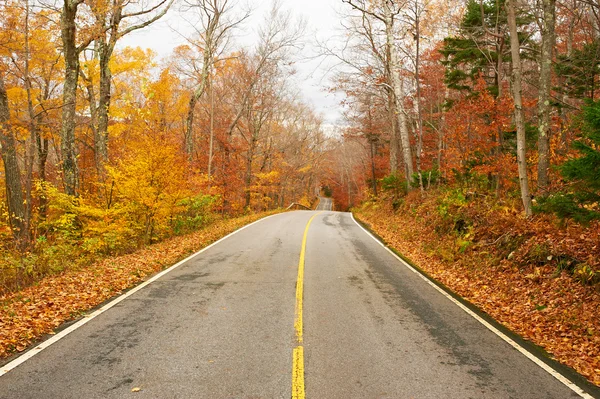 Herbstszene mit Straße — Stockfoto