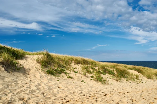 Sand dunes at Cape Cod — Stock Photo, Image