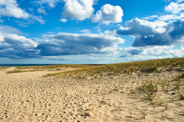 Sand dunes at Cape Cod — Stock Photo, Image